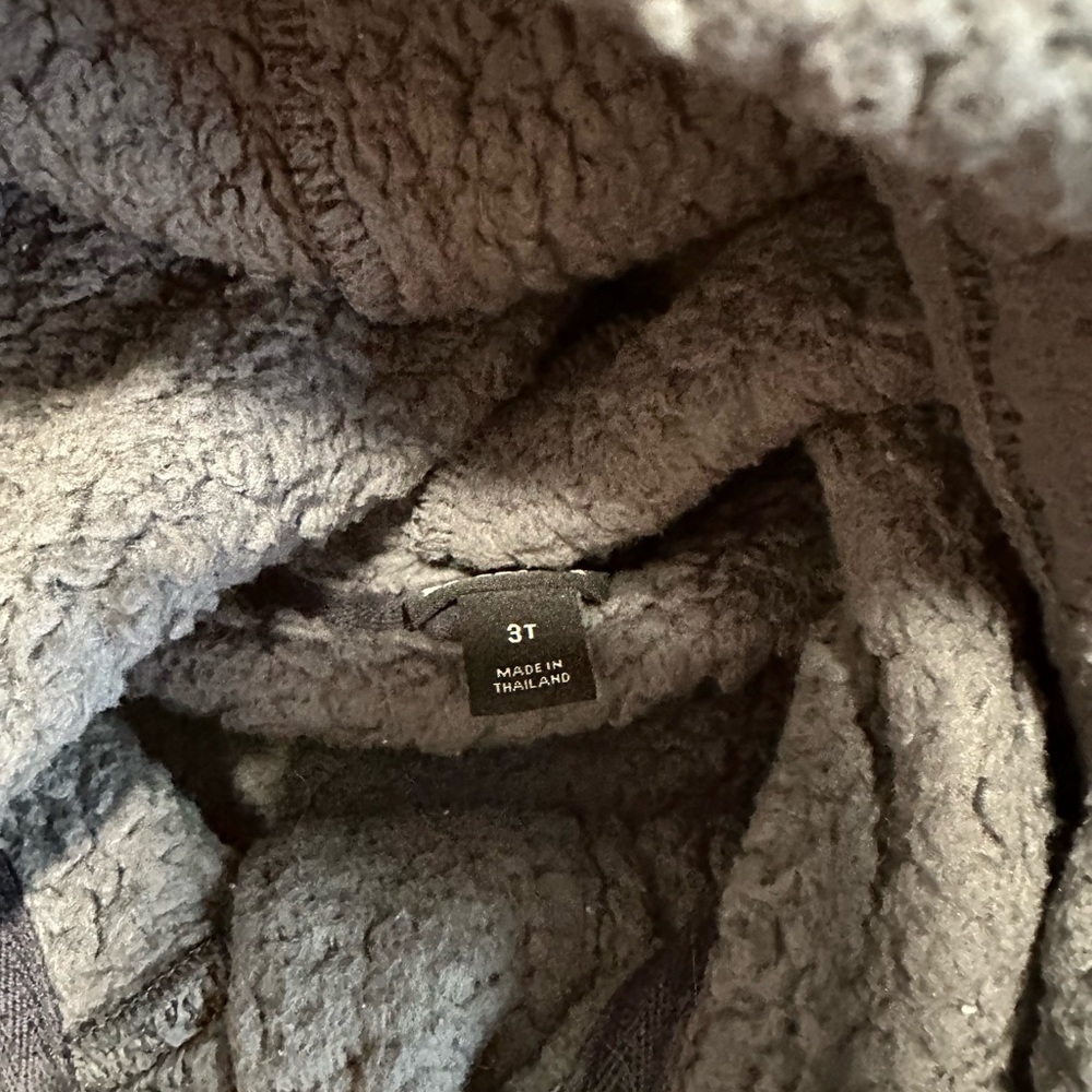 Patagonia fleece hoody
